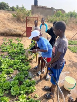 Soutien de Tekk Diego à l'École de Ndiarogne Wolof - Image 2