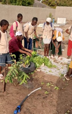 Soutien de Tekk Diego à l'École de Ndiarogne Wolof - Image 16