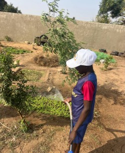 Soutien de Tekk Diego à l'École de Ndiarogne Wolof - Image 17