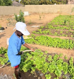 Soutien de Tekk Diego à l'École de Ndiarogne Wolof - Image 18